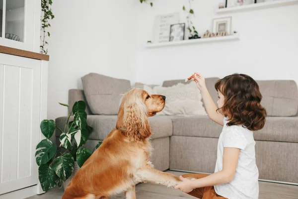 Little Girl Holding Dog Snack Food Training Her Dog Home — Stock Photo, Image