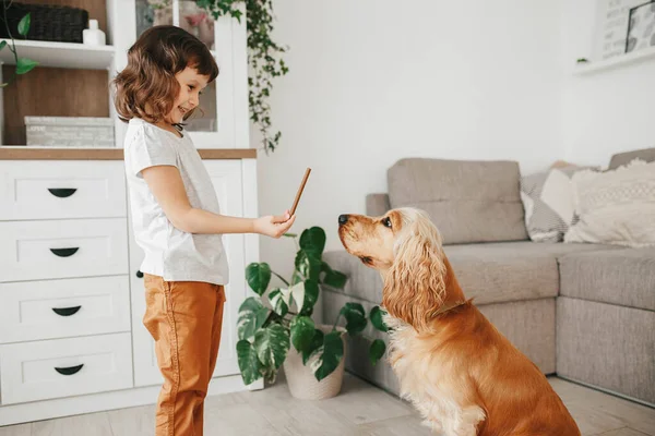 Little Girl Holding Dog Snack Food Training Her Dog Sit — Stock Photo, Image