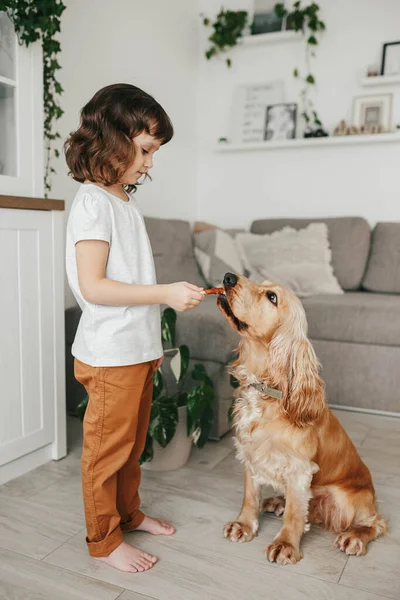 Niña Sosteniendo Comida Para Perros Entrenando Perro Para Que Siente —  Fotos de Stock