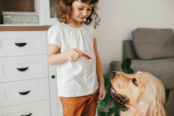 Lille Pige Holder Hund Snack Mad Uddannelse Hendes Hund Til - Stock-foto