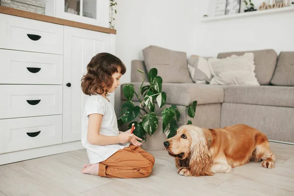 Little Girl Holding Dog Snack Food Training Her Dog Lie — Stock Photo, Image