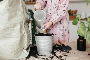 Küçük kız evdeki mutfağa bitki ekiyor ve suluyor. Evde bahçe işleri.