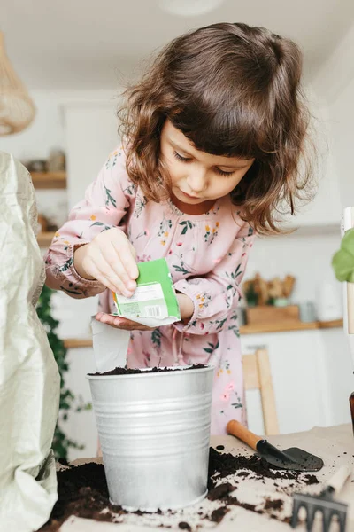 Piccola Bambina Piantare Erbe Aneto Cucina Casa Giardinaggio Casa — Foto Stock
