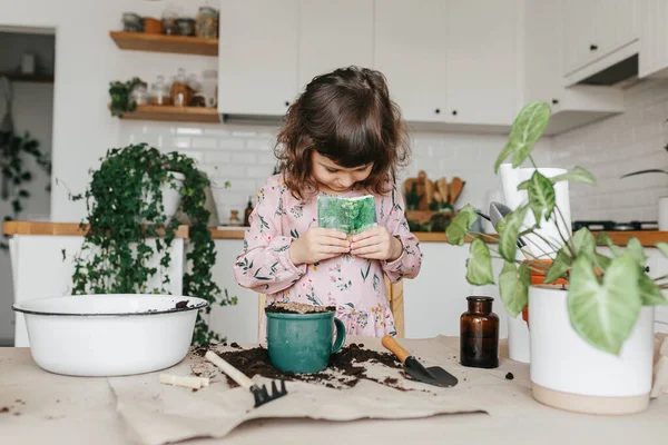 Niña Pequeña Plantando Hierbas Eneldo Cocina Casa Jardinería Casa — Foto de Stock