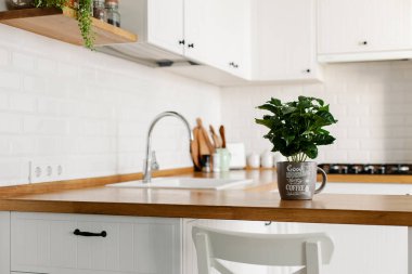 İskandinav tarzı beyaz, basit, modern mutfağı, mutfak detaylarını, ahşap masadaki kahve ağacı bitkisini, beyaz seramik tuğla duvar arka planını izle