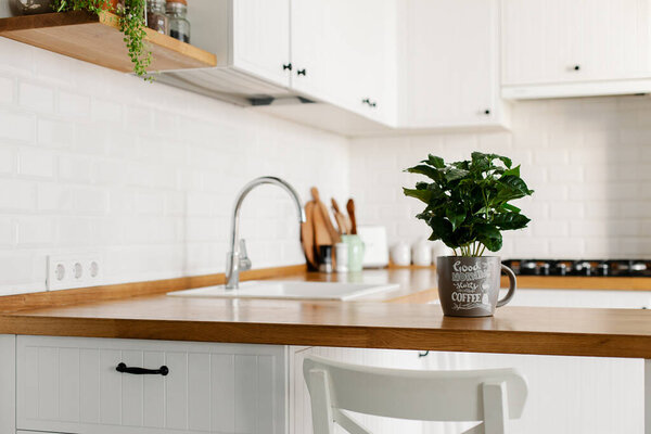 Вид на белую простую современную кухню в скандальном стиле, кухонные детали, кофейное дерево на деревянном столе, белый керамический фон стены брик
