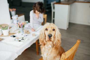 Sevimli beş yaşında bir kız evde öğreniyor. Çocuklar için eğitim ve uzak mesafe eğitimi. Evde eğitim kavramı