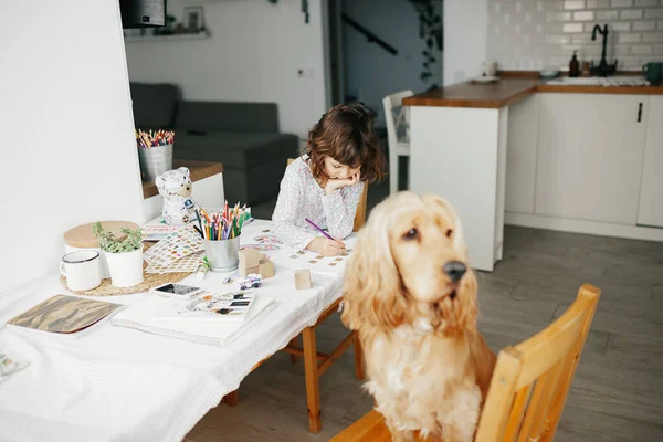 Fată Drăguţă Cinci Ani Învaţă Acasă Educaţie Învăţământ Distanţă Pentru — Fotografie, imagine de stoc