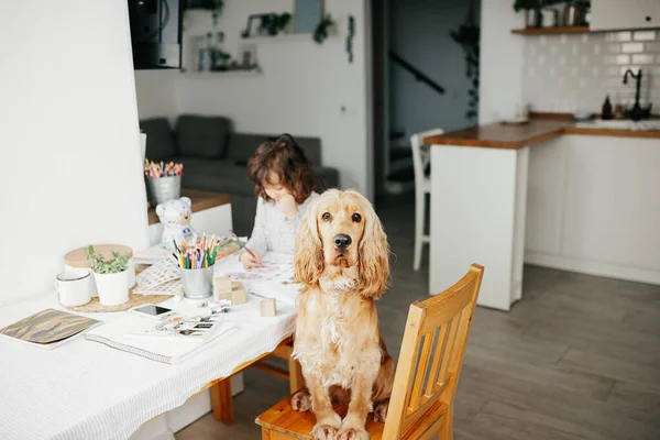 Nettes Fünfjähriges Mädchen Das Hause Lernt Bildung Und Fernunterricht Für — Stockfoto