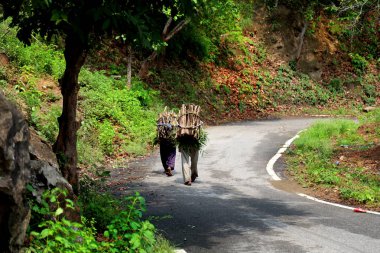 Yolda yürürken insanlar arkadan görünüş