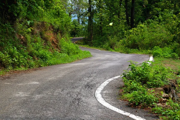自然の中で道路を曲線 — ストック写真