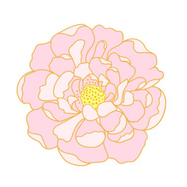 Beyaz arka planda pembe şakayık. Vektör illüstrasyonu.