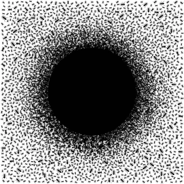 Bir çemberdeki siyah karıncaların temsili. Soyut yaratıcı kompozisyon. Karıncalar monokromik desen. Siyah ve beyaz konseptindeki böcekler. Tekstil deseni, parmak izi deseni. Siyah ve beyaz desen.