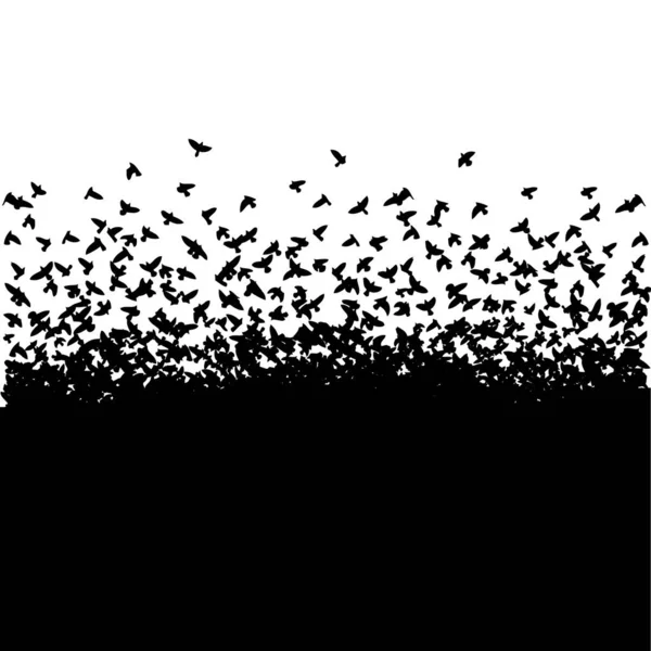 Чорні Птахи Білому Тлі Чорний Силует Векторні Ілюстрації Дизайну Тканини — стоковий вектор
