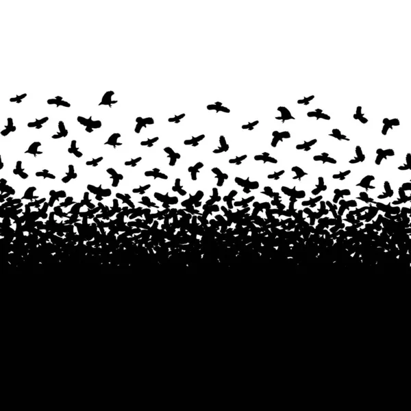 Schwarze Vögel Auf Weißem Hintergrund Schwarze Silhouette Nahtloses Muster Schwarz — Stockvektor