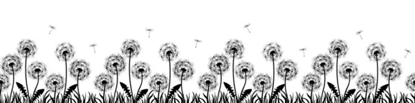 Μπάνερ Λουλούδια Πικραλίδες Σιλουέτα Μαύρων Πικραλίδων Λευκό Φόντο Floral Σχέδιο Διάνυσμα Αρχείου