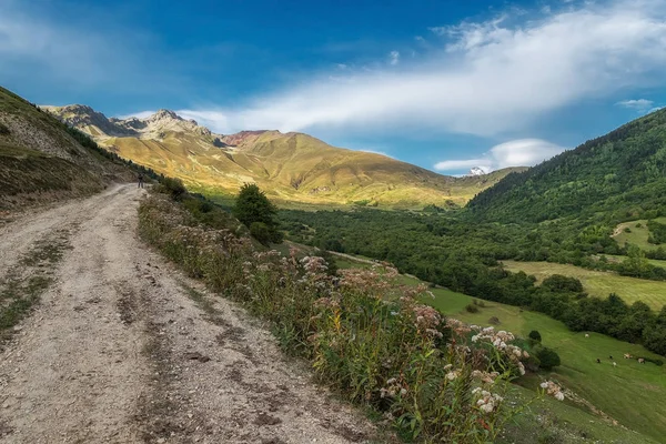 Camino Paso Baki Georgia Svaneti — Foto de Stock