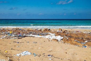 Kuzey Kıbrıs sahil Ekim, çöp