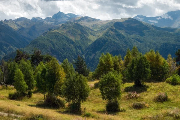 Montañas y prado verde con árboles en un día soleado de otoño en Svaneti Georgia — Foto de Stock