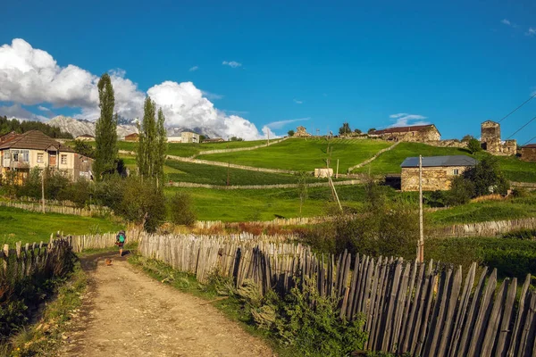 Gyönyörű nyári vidéki táj Szvaneti Georgia legelőkkel földút és fából készült kerítés — Stock Fotó