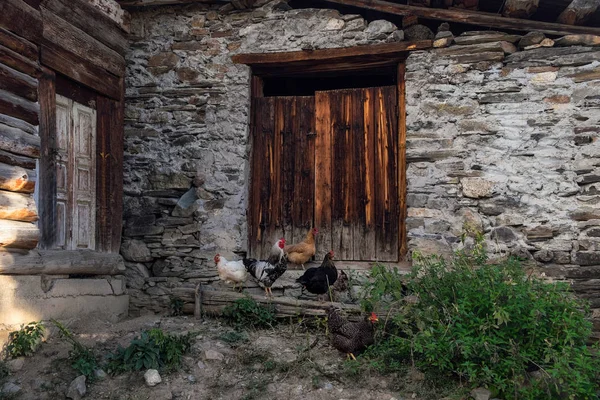 Edifício rural de pedra velha em Svaneti Geórgia com porta de madeira e galinhas — Fotografia de Stock