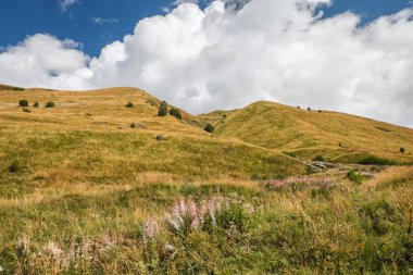 Tepelerde sonbahar otlakları, büyük beyaz bulutlar ve arka planda derin mavi gökyüzü.