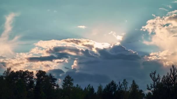 Сонячний літній день пейзаж у лісі з драматичними хмарами, що швидко течуть на небі — стокове відео