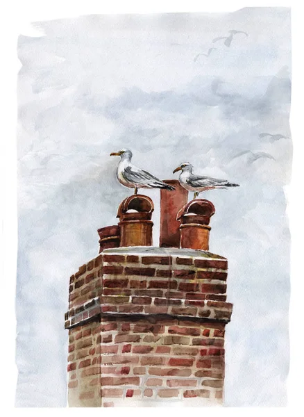 Mewy na dachu akwarela ręcznie malowane clip ilustracja — Zdjęcie stockowe