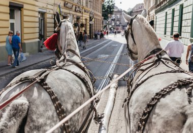 Şehirde ata binmek.