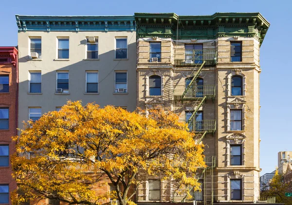 Colorful Fall Tree and Apartment Building in the East Village of — Stock Photo, Image