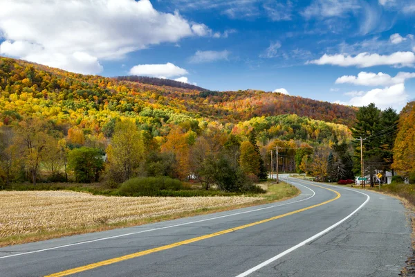 Carretera a través de colorido campo de otoño en Nueva Inglaterra — Foto de Stock