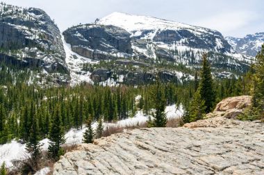 Colorado kayalık dağlar vahşi orman arka plan 