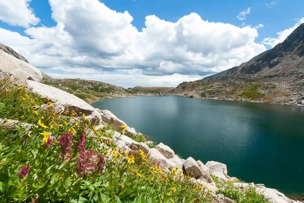 Paisaje de lago de montaña con flores silvestres en Colorado — Foto de Stock