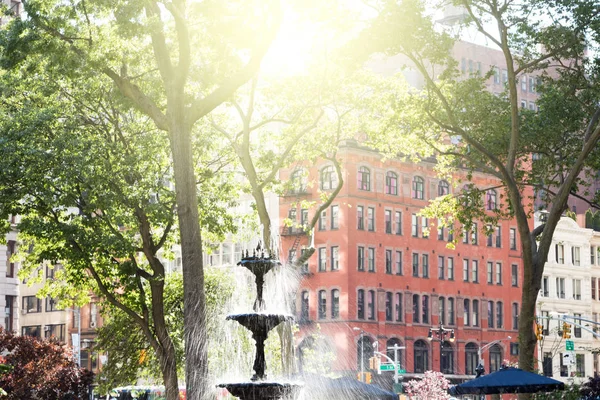 Sommaren scen med fontän och historiska byggnader i Madison Squ — Stockfoto