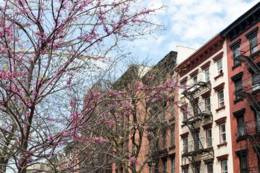 New York City bahar sokak sahne renkli ağaç ve backgro ile
