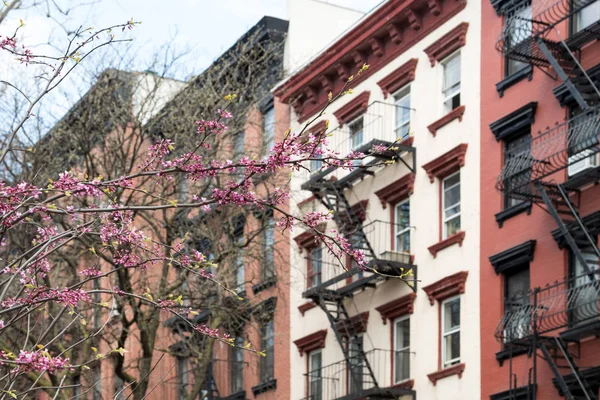 Nova Iorque primavera cena de rua com árvore colorida e backgro — Fotografia de Stock