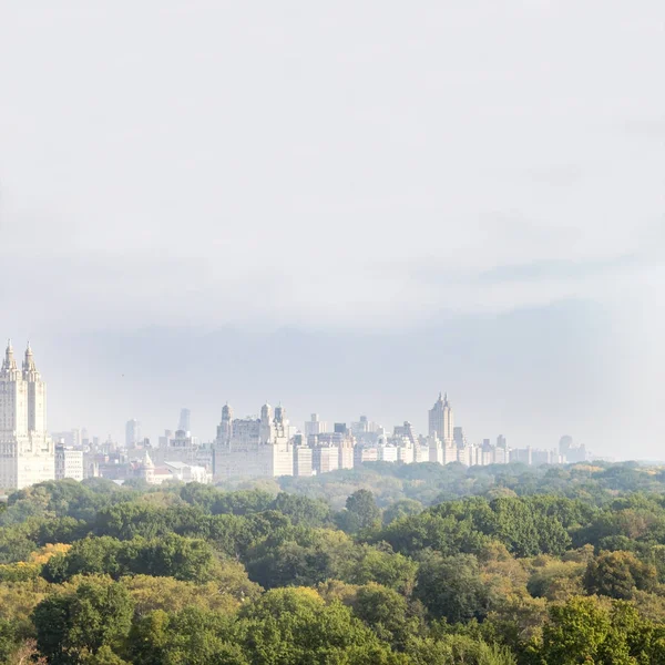 Central Park vista panoramica nebbiosa con edifici storici — Foto Stock