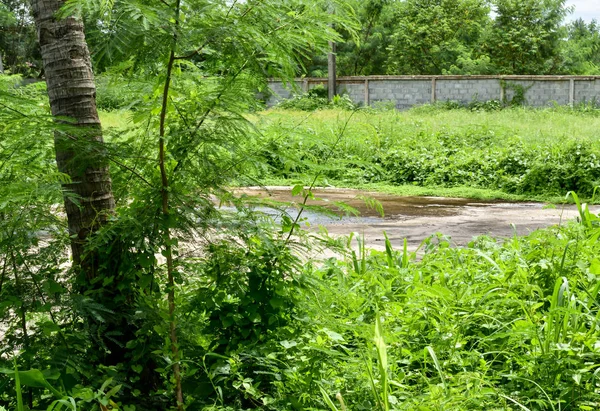 Mörtelboden in der Wildnis — Stockfoto