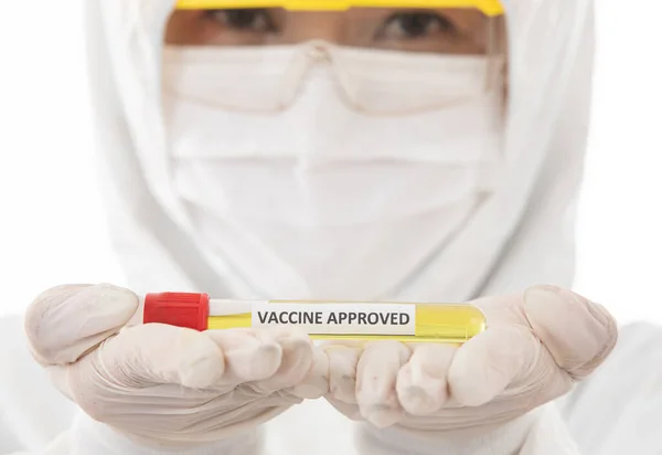 科学家在消毒的实验室大衣布持有疫苗批准的手 有选择地集中在管子上 医护人员尝试和研究战胜考拉病毒的概念 — 图库照片