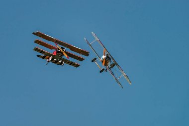 Albatros D.Va (Üreme) 
