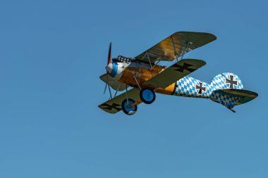Albatros D.Va (Üreme) 