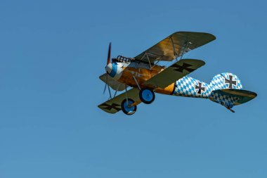 Albatros D.Va (Üreme) 