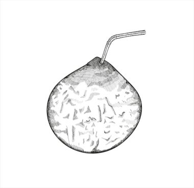 Hindistan cevizi. Doodle stili