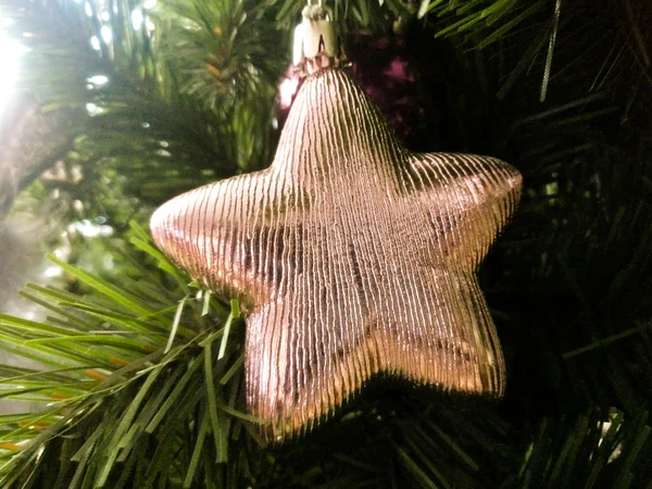 Navidad árbol de año nuevo — Foto de Stock