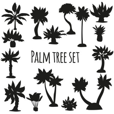 Palm siluet küme. Vektör illustrtation