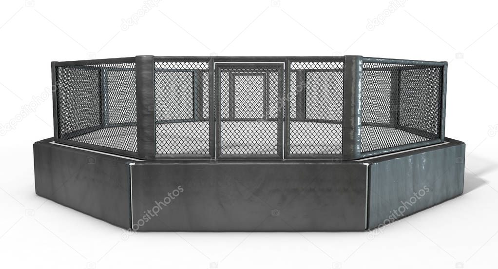 MMA Arena Cage