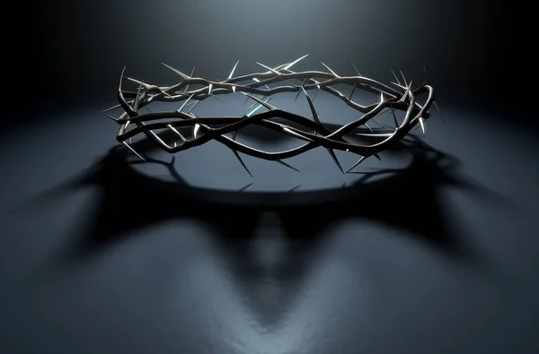 Crown Of Thorns With Royal Shadow — Stock Photo, Image