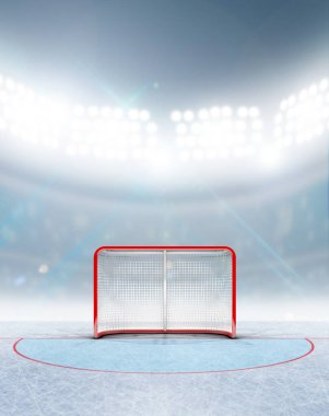Buz hokeyi gol Stadyumu