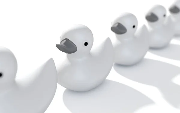 Ducks In A row — Stock Photo, Image