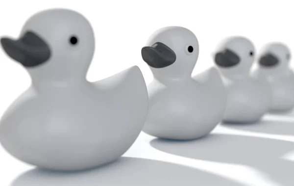 Ducks In A row — Stock Photo, Image